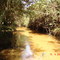 Córrego Rio do Cerne.