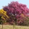 Cores da natureza