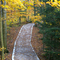Autumn at Rosy Mound Park