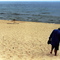 Lake Michigan, Hoffmaster State Park, Muskegon, MI