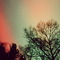 Norton Shores Aurora Borealis