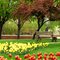 Central Park, Grand Haven