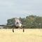 Decolagem PT-LOA da Centeno Aviação Agrícola