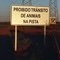 A alfabetização de animais não tem funcionado, pois eles continuam sofrendo acidentes nas estradas de MS - stupid signs - prohibit the transit of animals on the road - they do not read