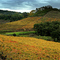 Vale dos Vinhedos - Monte Belo do Sul ©Germano Schüür