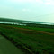 Rio Corrente