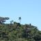 Ponta do Cego, Reserva do Lami