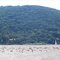 Biguás na Ponta Grossa