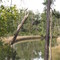 Sandhill Crane National Wildlife Refuge
