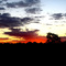 Por do Sol...Fazenda Jaú.Chapadão do Sul -MS
