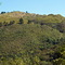 >>>Campo Largo — Área Rural