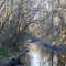 Creek
