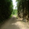 Estrada rural