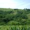 Paisagem Rural