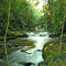 Arroio Guará