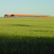 Agricultura e Pecuária
