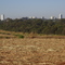 VISTA DA CIDADE A PARTIR DA ZONA 5