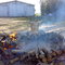 Churrasco