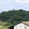 Pinheiral - Colônia Rodrigues - Campo Magro - Pr - Brasil