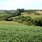Campo Largo : agriculture
