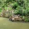Queda no Rio Maria Preta
