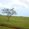 Paisagem rural entre Dionísio Cerqueira e Guarujá do Sul