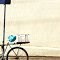 A bike fiel - sergiomatte...