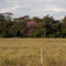 Uma das ilhas nos arredores de Dourados
