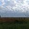 Silos de uma Cooperativa e Rodovia MS 270 - Dourados - Mato Grosso do Sul - Brasil