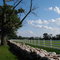 Along Emerson Rd.