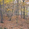 Essex County Rail Trail