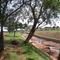Obra do Córrego do Rego, no fundo as casas do Conjunto Brasil 500 Anos - Dourados - MS - Brazil