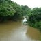 Rio Piquiri na Estrada da Água Branca