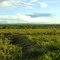 FAZENDA REALEZA II (CHIQUINHO)