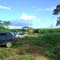 Fazenda Realeza II (CHIQUINHO)
