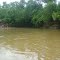 RIO PIQUIRI  04-11-2012
