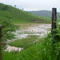 strada del ceia di pavao BR