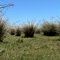 Zona de inundação no São Gonçalo  - Brasília a Santa Catarina em caiaque
