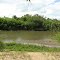 rio Piratini- Aventuras&natureza