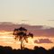 Por do Sol na MS 324 - A