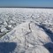 Ice on Lake Ontario south shore hilton ny