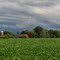 Farmlands, Silo and Red Barn - on Manitou Road in Greece, NY