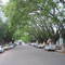Rua Rio Branco - Encruzilhada do Sul - RS - 161 anos de emancipação política em 19.jul.2010