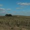 paisagem campeira