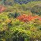 Cores do Cerrado
