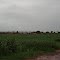 Panoramica - Saida de Tambau com destino a Casabranca