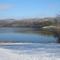 Wyandotte County Lake, iced-over trees, Kansas City, KS