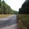 Estrada de Acesso à São Roque Novo