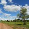 A paz do campo