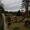 Cemitério de Troncos